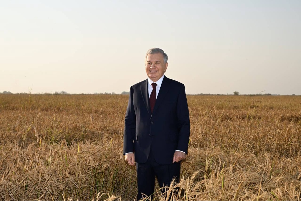 Макеевкада интимдік кездесулер үшін танысу