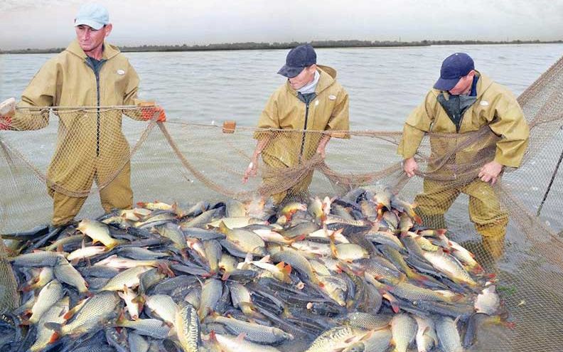 Рыболовство в открытом море перейдет на новые положения по отчетности