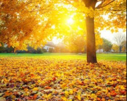 Ikki qiz va ikkita biseksual yigit