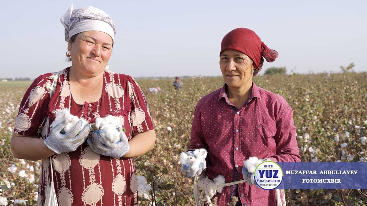 Oliy maktab DxD porno rasmlar