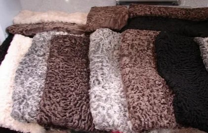 Тесік арқылы порно транссексуалдар Түнде жағажайдағы секс видео