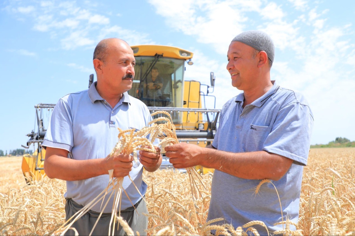 YouTube katta eshak bilan etuk nemis ayollar bilan jinsiy aloqa