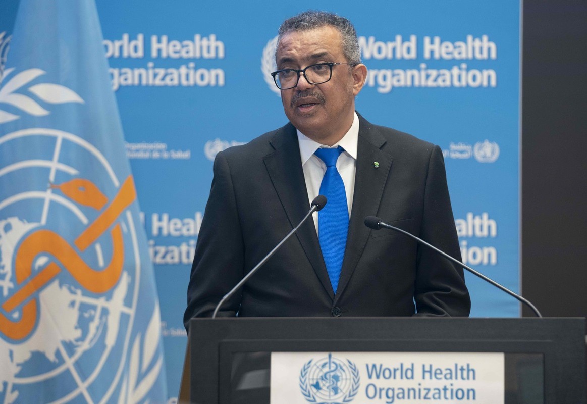 Samara mushuklari Samara mushuklari