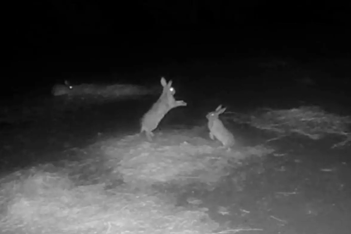 Nefteyuganskda kim jinsiy aloqa qilishni xohlaydi?