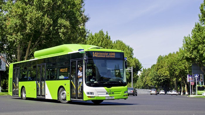 Xoroz qusishgacha ogizda chuqur