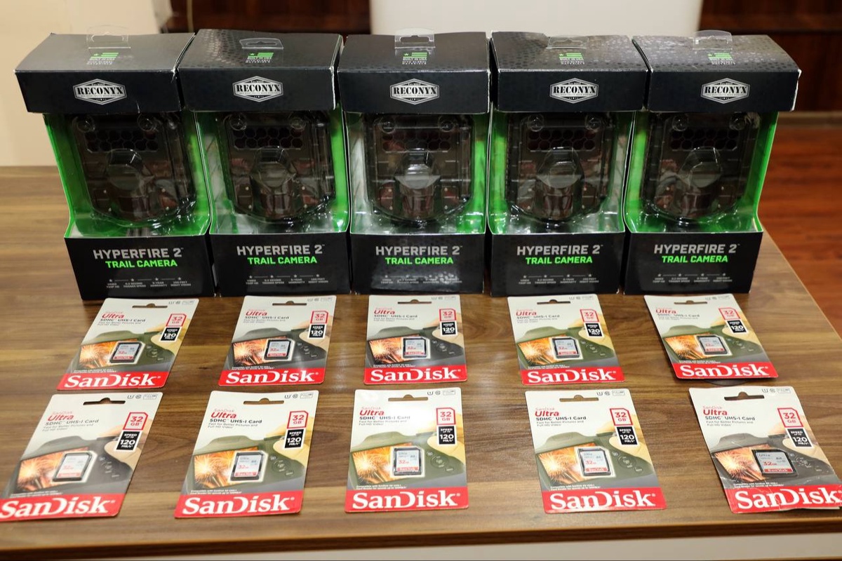 Boss kotibani eshakda sikdi