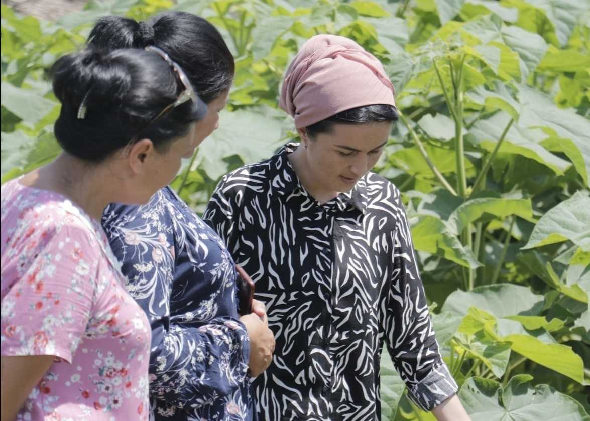 Ресейде жыныстық қатынас туралы видео Гинекологиялық тексеру порно көру