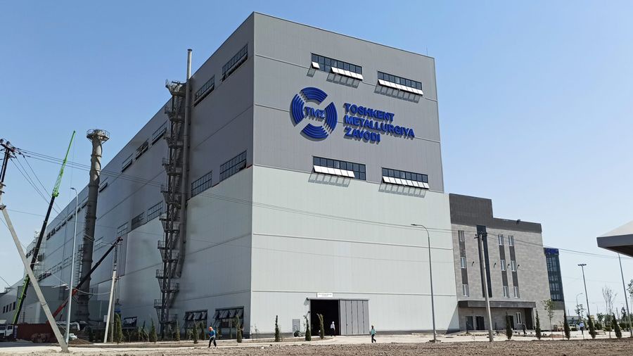 Keksa odamlarning jinsiy azolari