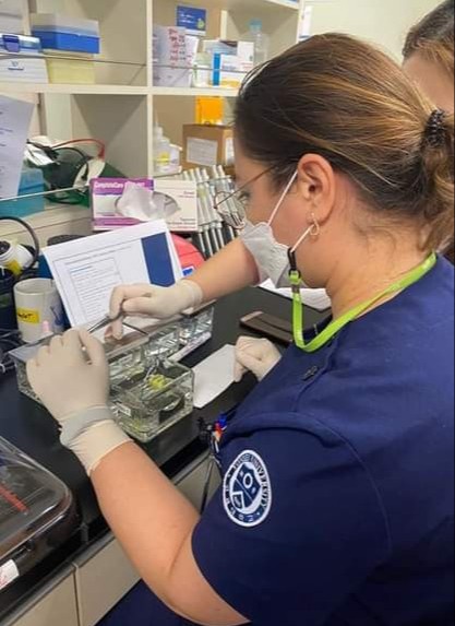 Arab shayxlari qanday sikishadi