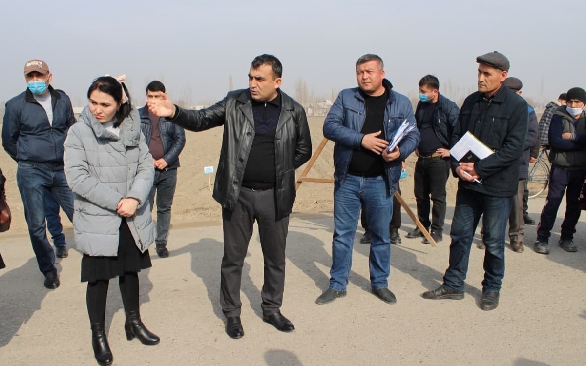 Avtobusda mushukni korsatadigan porno