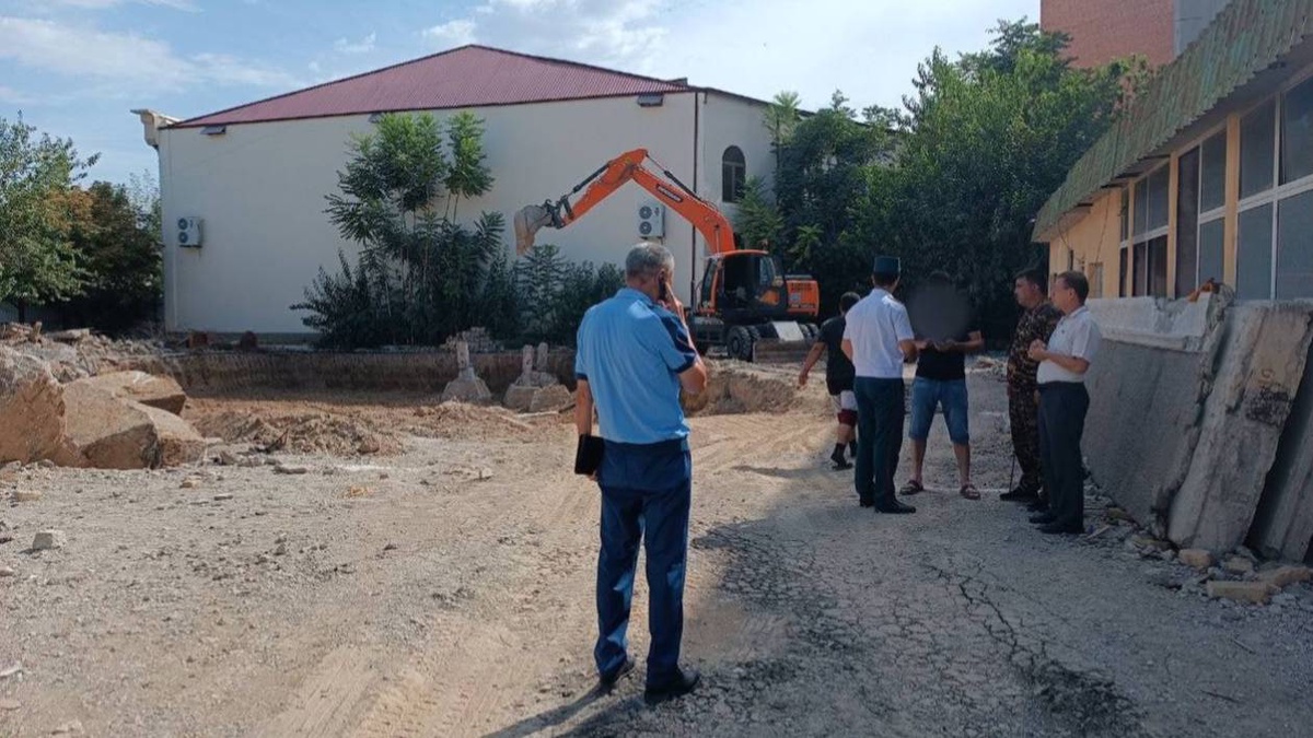 В Навои застройщика, срубившего три тутовых дерева, оштрафовали на 92 млн  400 тысяч сумов