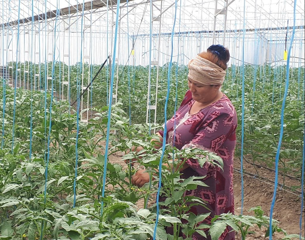 Shaffof fotosuratda yog