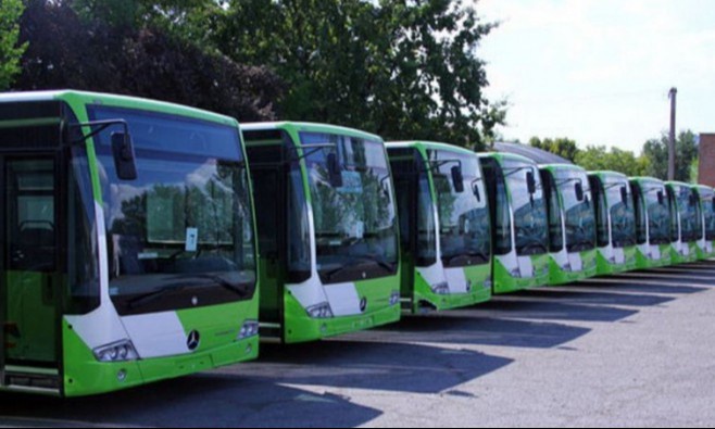 Dik va mushuk aaaaa fotosurati