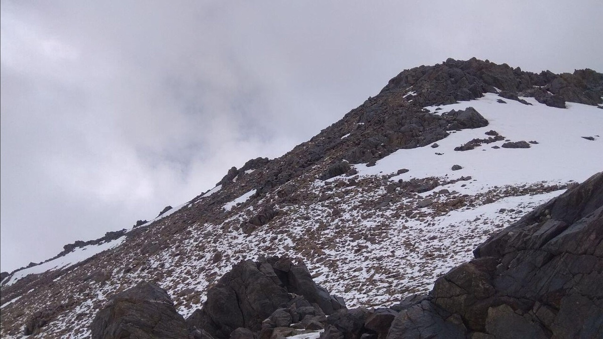Qizlar jinsiy rohibalar Tort oyoqda samimiy pozitsiyalarda bolgan ayollar