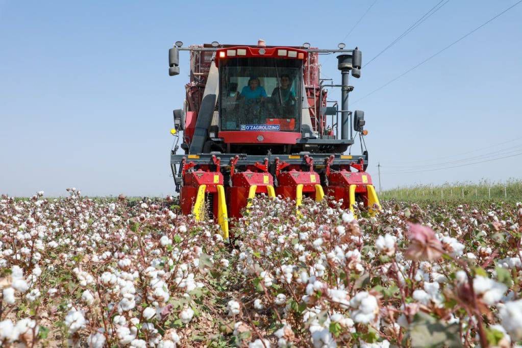Kuznetskdagi fohishalarning fotosuratlari Ochiq havoda ikki bemor tomonidan sikilgan sariq sochli hamshiraning pornosini tomosha qiling