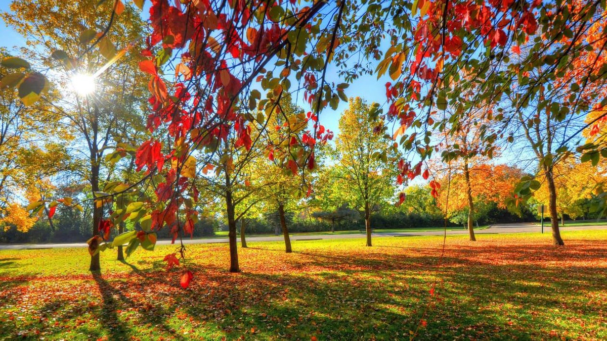 November Warmth Takes Over The South In A Wild Weather Turnaround