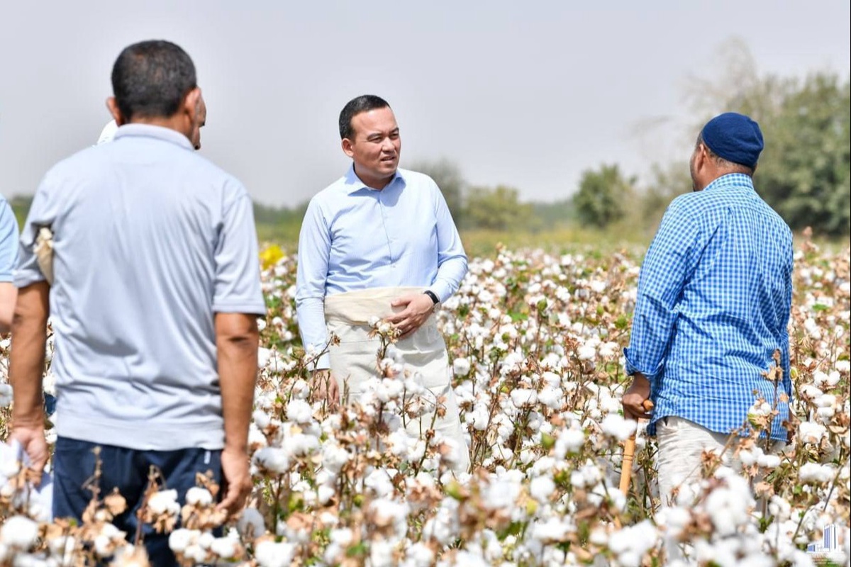Uyda etuk yalangoch ayol