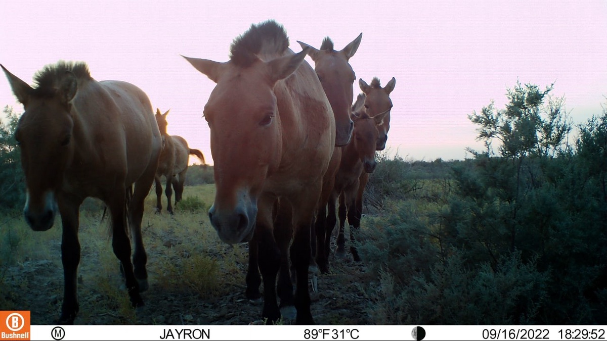 Talaba bilan yotoqxonada jinsiy aloqa