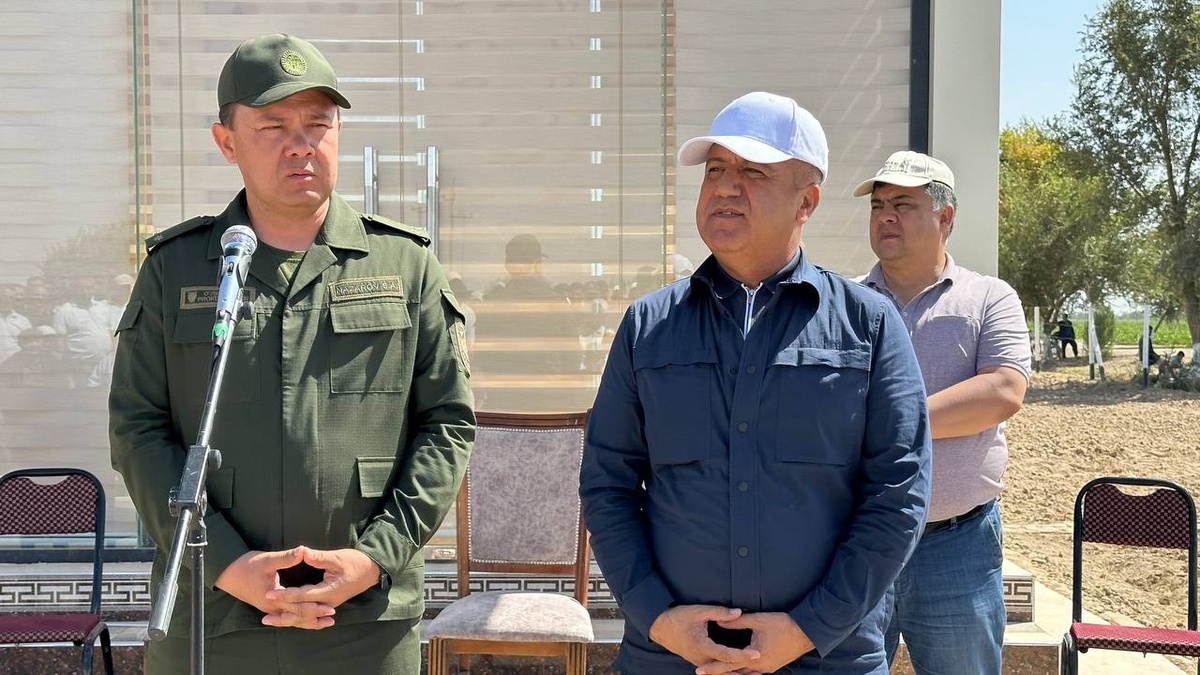 Qizil chiroq porno video