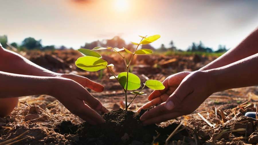 Jumlani yutib yuboradi