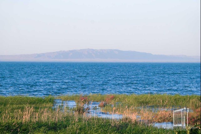 Korgazmada qizlarning yalangoch mushuklari