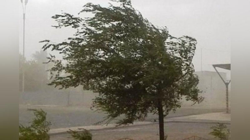 Nima uchun qizlarda hol mushuk bor? Yetuk ayollarning katta eshaklarining katta fotosuratlari