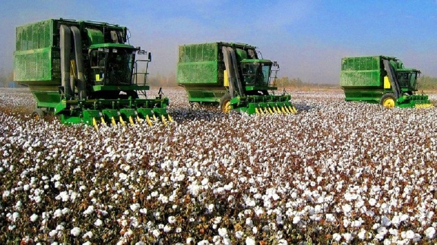 Үлкен тілі бар лесбиянкалар Емізік пен клиторды электр тогымен азаптау