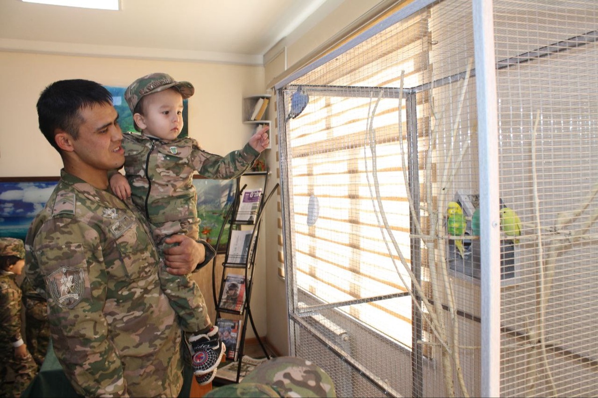 Porno video, albatta, xohlaydi