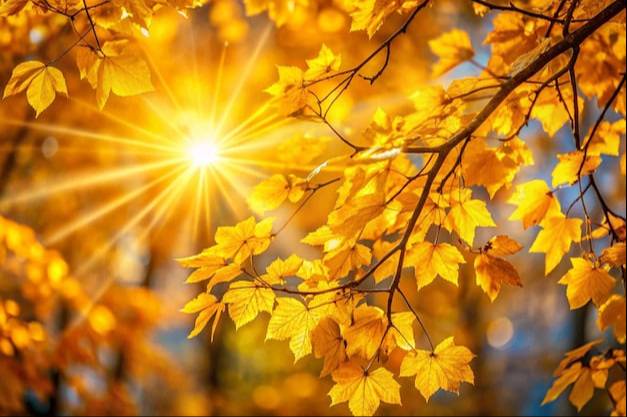 Northern High Plains Temperatures Expected 20–30 Degrees Above Average