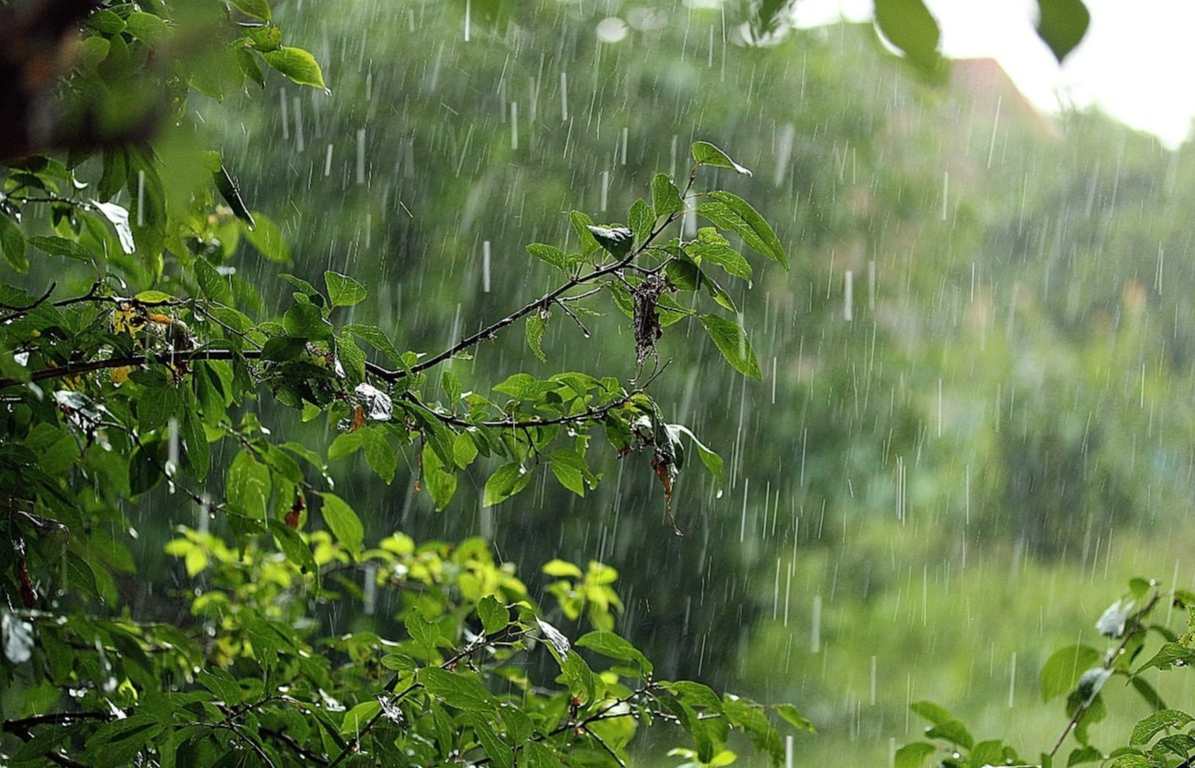 12-ге арналған секс