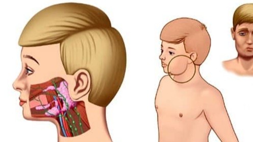 Порнодағы қазақ актрисалары