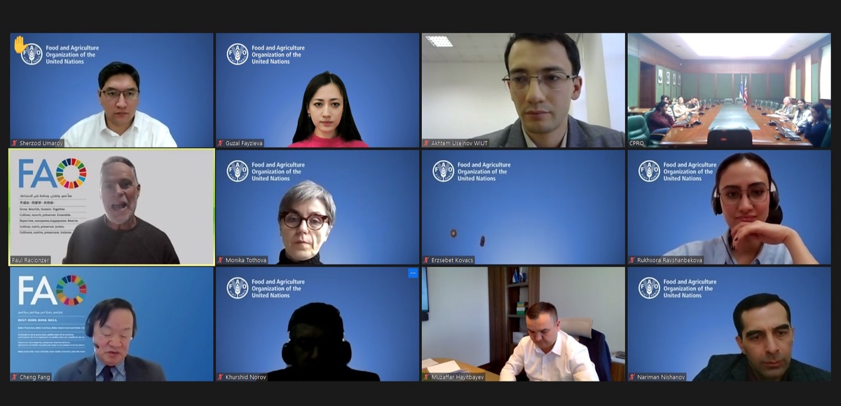 Turkiyadan gruzin porno videolar