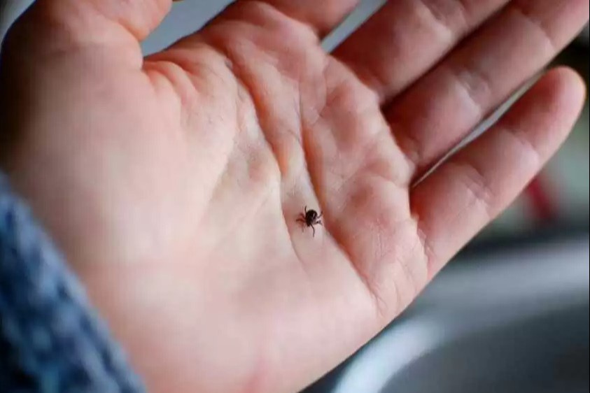 Bespilatno seks uzbekski nodira begim Kokrakli qizlarni jinsiy aloqa qilish (foto)