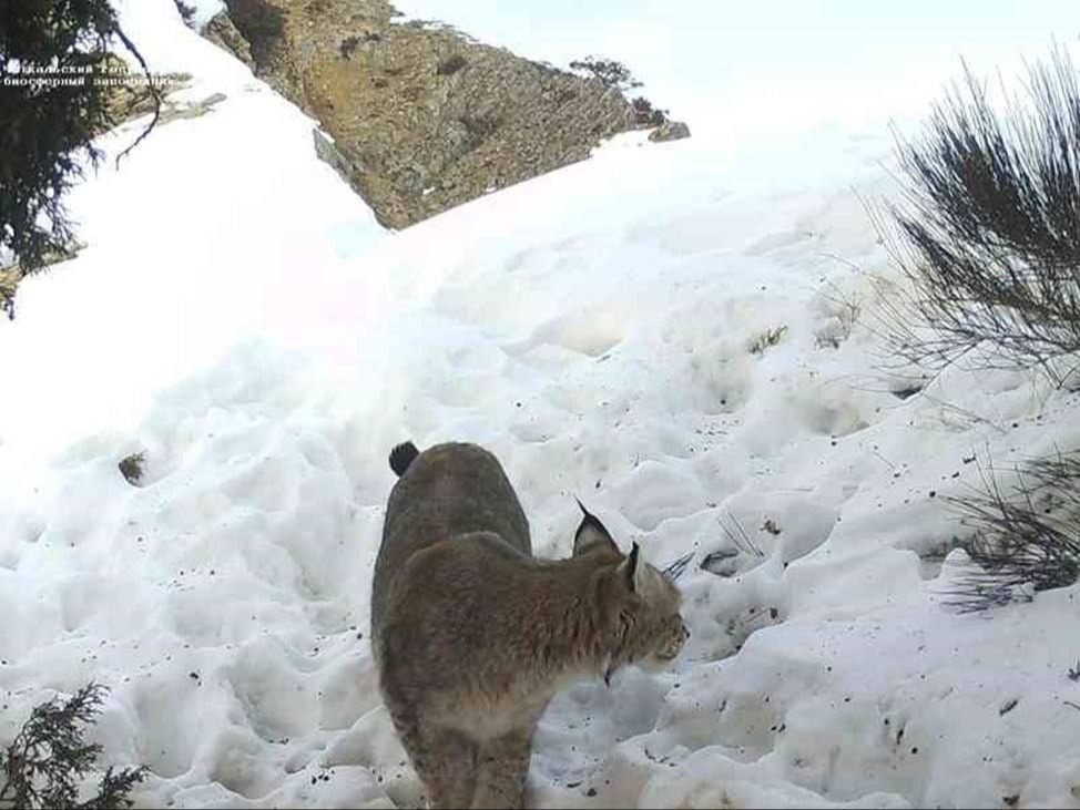 Qora tanlilar oq bi juftliklarni sikishadi Seksual qoshnilar video