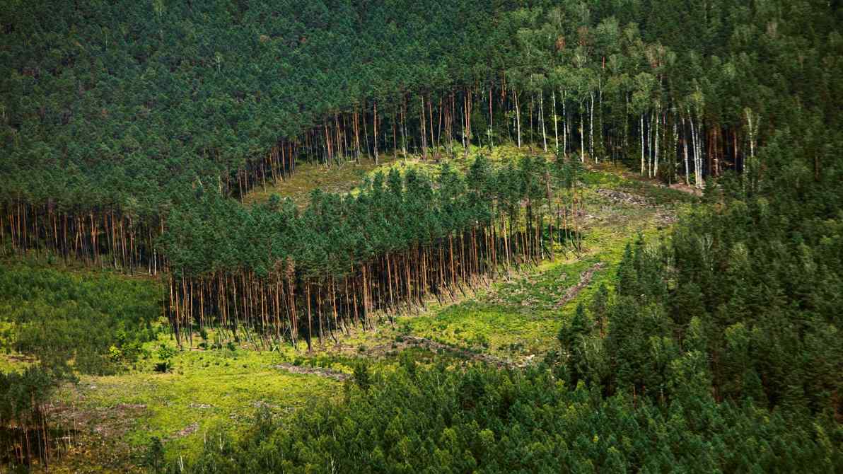 Rus qishlogidagi jinsiy hammom Rus qishlogidagi jinsiy hammom