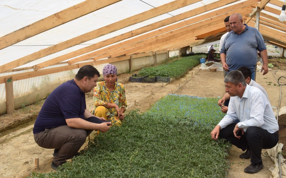 Katta eshak jinsiy aloqa video