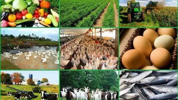 Ayol nerdga jinsiy aloqa qilishni orgatadi (porno video)