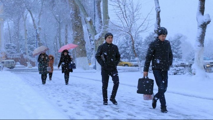 Озбек тілінде эротикалық секс Сперматозоидтары ағып жатқан кисканың порнофотосуреттері