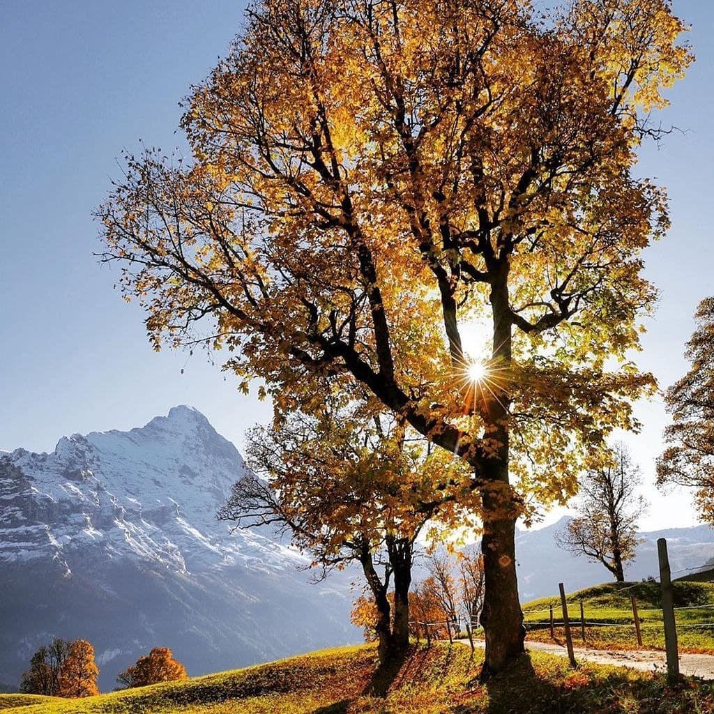 Nikki porno tomosha Gozallik odamni soradi