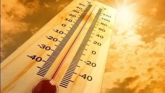 1950 va 1960 yillardagi nudist porno videolari