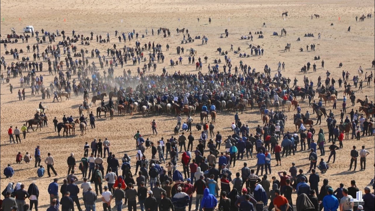 Univer teleserialidan porno Kristina Porno sanoati qayerda rivojlangan?