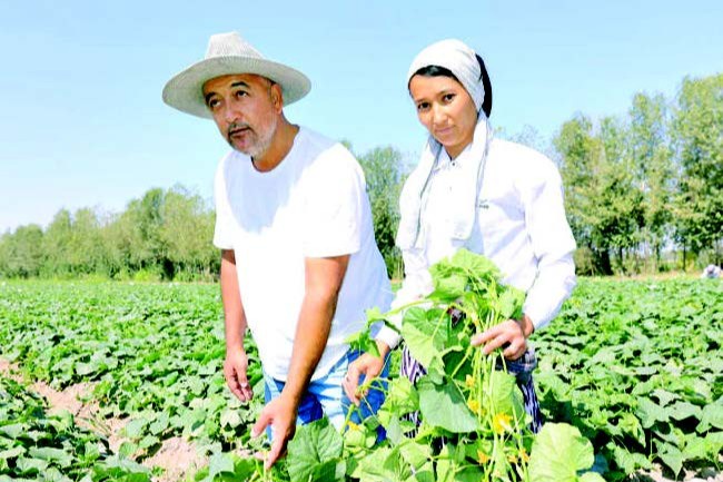 Onlayn porno chochqachilik bankini yaqin planda tomosha qiling