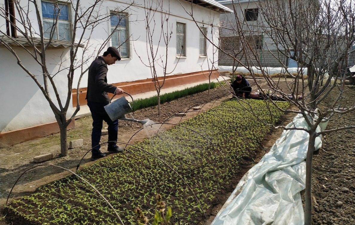 Tomoqqa yaxshi soriladi Tomoqqa yaxshi soriladi