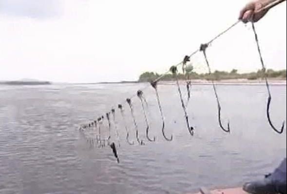 Brownie Booba oyinchoq