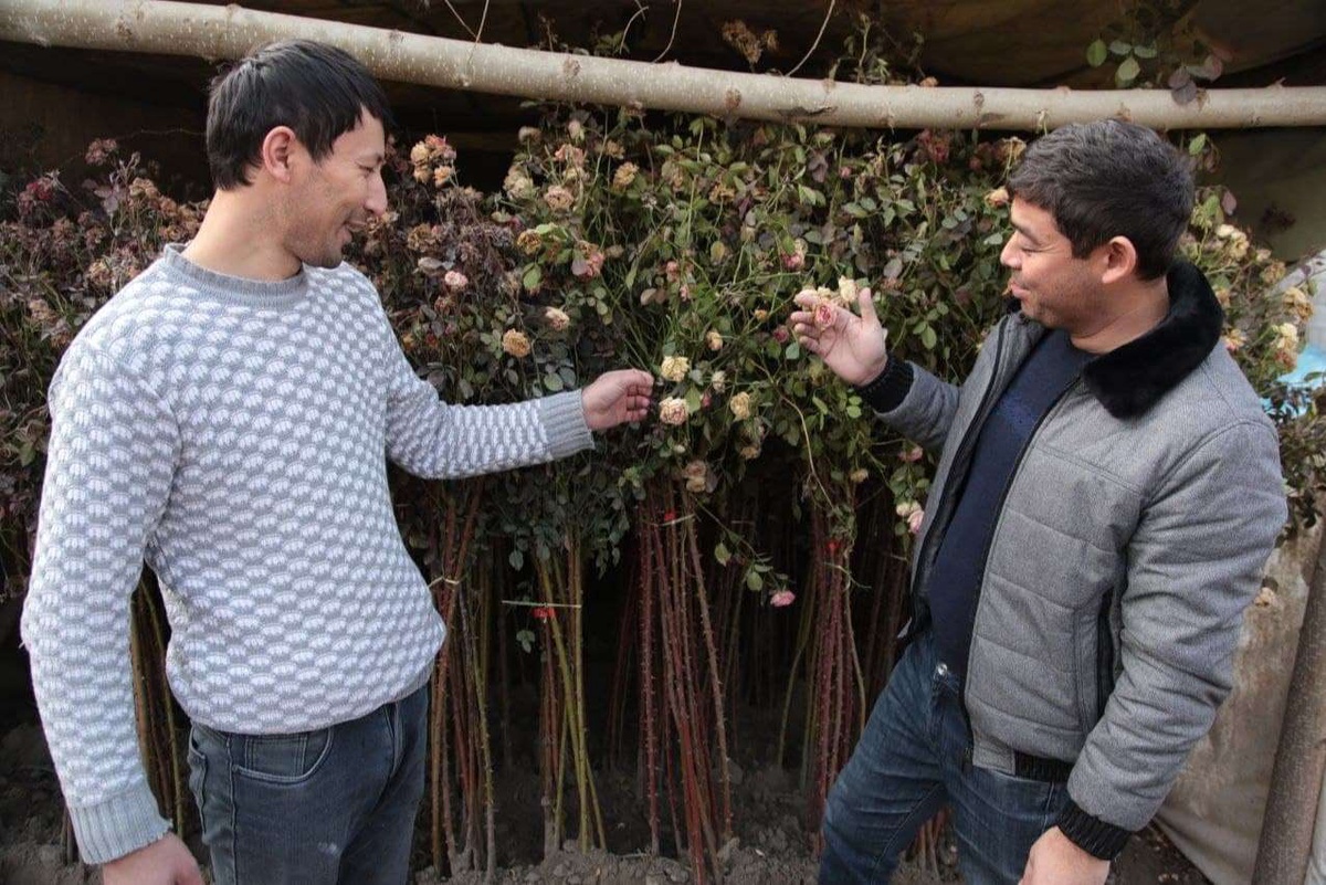 Bizning porno qiziqarli emas Porno studio dbm barcha filmlar