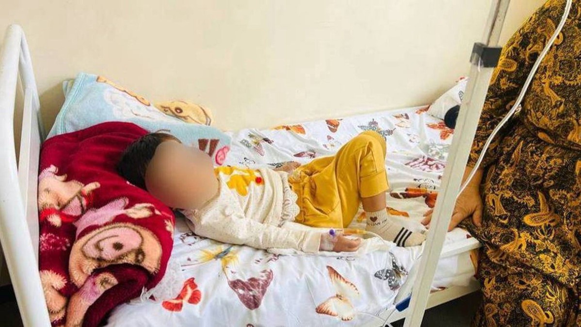 Endi eshakning fotosurati yaqinroqda