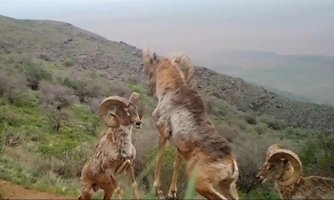 Jet ski bilan yalangoch qizlarning fotosuratlari Saunada porno jinsiy aloqa