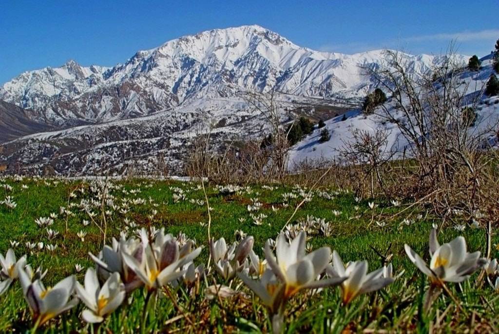 Горы таджикистана весной фото