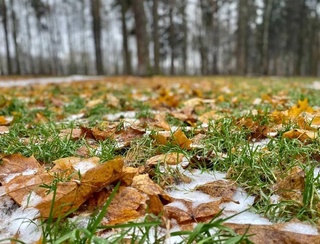 Пешгӯии обу ҳаво барои 10 декабр