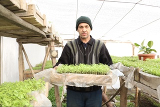 Farg'onalik mirishkor -15-20 daraja sovuq ob-havoga qaramay 300 ming tup ko'chat yetishtirmoqda